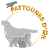 Logo of the association Pattounes D'Or